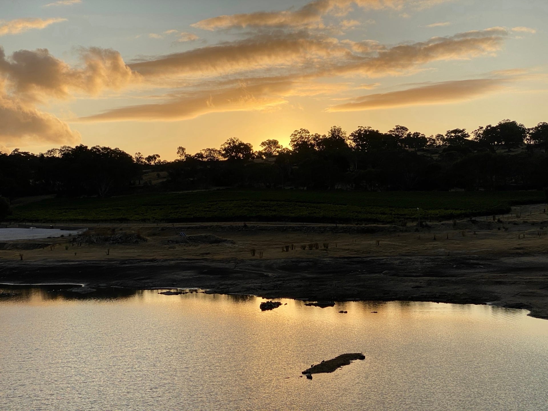 Golden sunset reflected over water near the vineyard